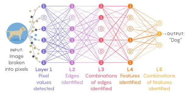 New Theory Cracks Open the Black Box of Deep Learning