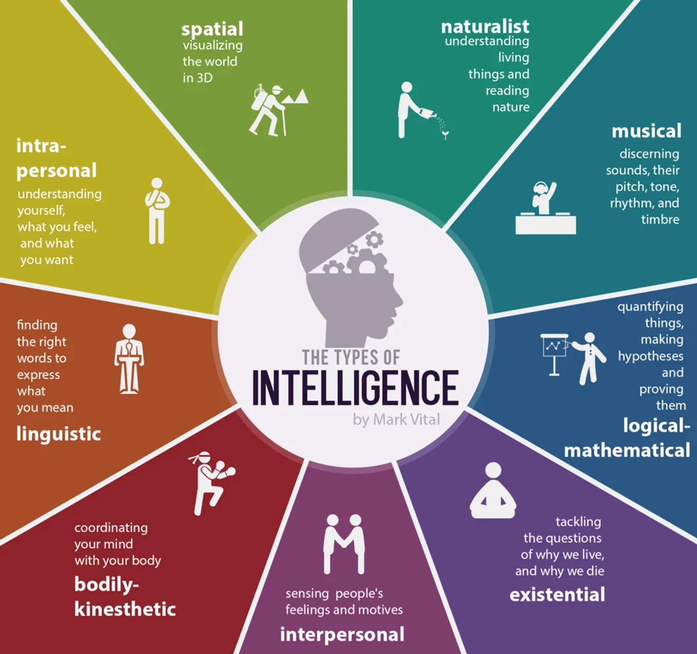 types of intelligence