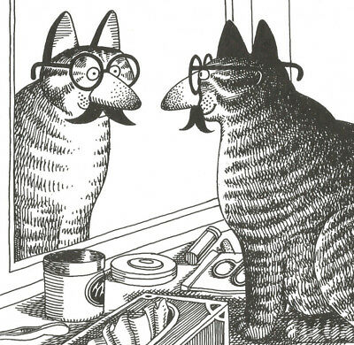 b.kliban cat