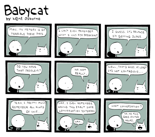 Babycat by Kent Osborne