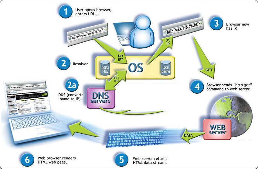 dns