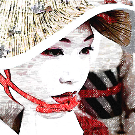 fotosketcher maiko