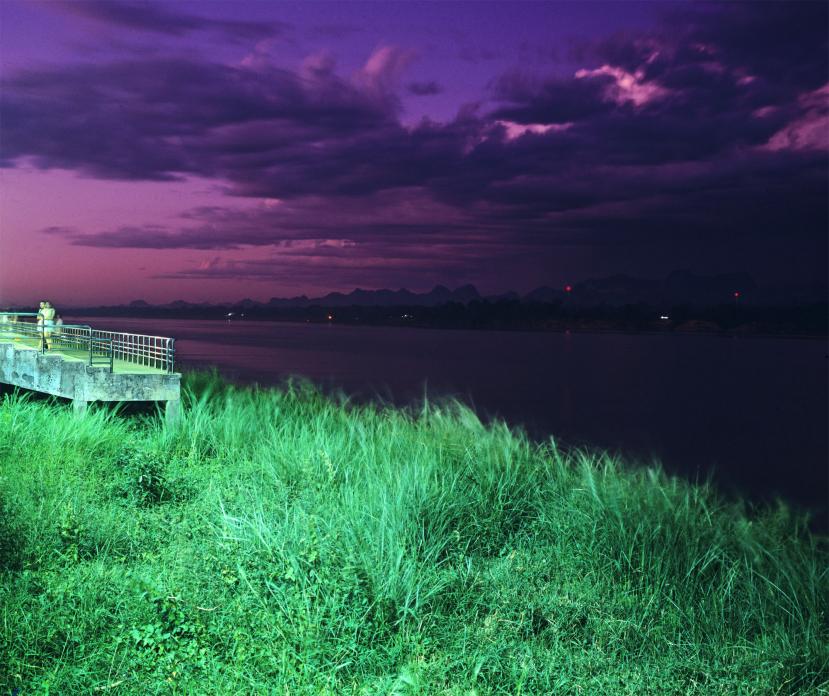 greg girard cherry blossoms & sodium vapors