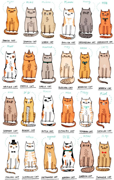 miao all languages gemma correll