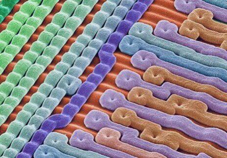 microscopicture chip transistor