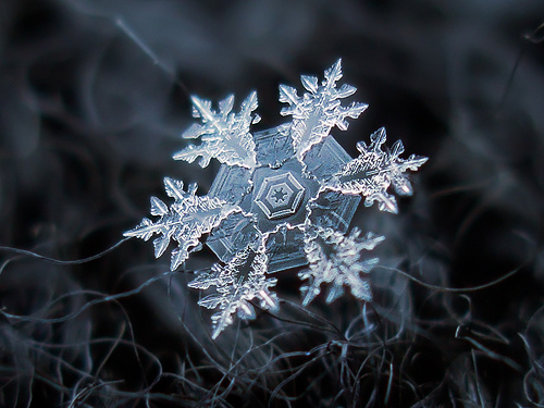 snowflake Alexey Kljatov