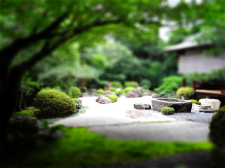 tilt shift photography maker